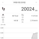 둘이두리 이미지