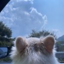 장안한옥민박 이미지