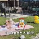펫해윰 이미지