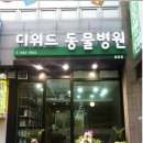 디위드동물병원 이미지