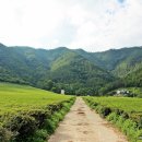 대한농장2 이미지