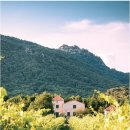 와인 인문학 이미지