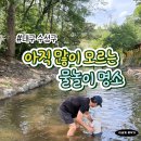 계룡산유아숲체험원 | 대구 아기랑 갈만한 곳 찾는다면? 수성구 대흥동 유아숲체험원 다녀온 후기