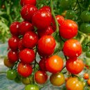 연우농장 이미지