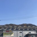 2023 페이스콕 배드민턴 단식 대회 A조 참가 후기