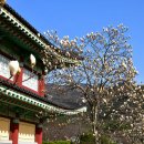 왕인박사유적지 영월관 이미지