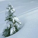 눈꽃여행 이미지