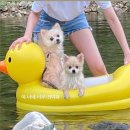 데일리마트 문막점 | [주말일상] 8월 3주차 주말 일상기록글