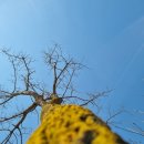 가평뒷동산길 이미지