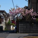 서울ND(엔디)의원 | 2주차