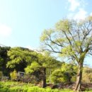 진동리의 아침 이미지