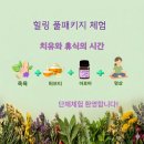 부안 마실축제 마지막 날 후기: 어린이날 변산 가볼만한곳과 힐링 체험