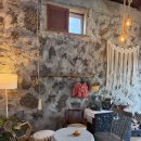 웰컴자동차공업사 | [내노키] 서귀포 수제 푸딩 귤밭 감성 카페