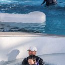 도고온천모두캠핑장 이미지