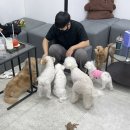 멍린이 회관 이미지