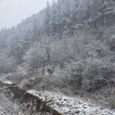 포레스트밸리 | 강원도 독채펜션 포레스트밸리 펜션 겨울 여행 후기 ❄️🌲