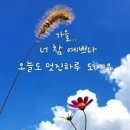 가을엔 맑은 인연이 그리워지는 계절 - 좋은 글 중에서 - 이미지