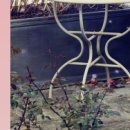 보나성형외과의원 | 부산 성형외과 유명한곳 확인할 요소는