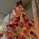 오성장식 | 크리스마스 장식 낭낭한 그랜드하얏트 결혼식 참석후기 낋여와따! (발렛, 홀 장식, 음식, 꽃까지)