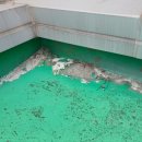 대경특판 이미지