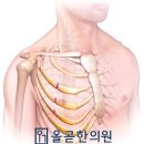 올곧한의원 이미지
