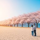 강선교 | 속초·강릉 2박3일 봄 여행코스 완벽 가이드