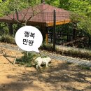 3 | 은평구 애견 동반 후기 | 구파발 “반려견 놀이터“