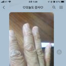 남도향 이미지