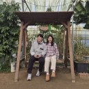 딸기나라 | 남양주 딸기나라 딸기체험 내돈내산 후기(팔당유기농딸기나라 체험농장)