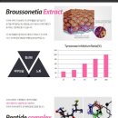 영 스토어 이미지