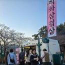 은파호수공원 2025년 4월6일 현재모습 ㅡ 군산은파 벚꽃축제 후기, 벚꽃은 아직, 봄은 이미 시작되었어요