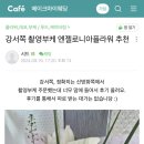 엔젤로니아플라워 이미지