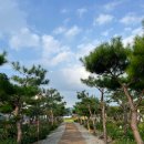 괴산어린이집 | 충북 괴산 펜션 산막이가는길 수영장 별채 1박