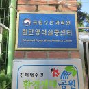 진해가족나들이 하기 좋은 생태테마여행지, 내수면 환경생태공원과 여좌천 로망스다리