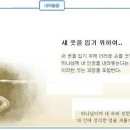 일일신앙점검을 위한 예화말씀묵상 2010년 9월 3일 (금) - 하나님의 인도 이미지