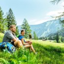 데일리목장 이미지