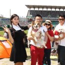 데이도그 OSEN
