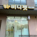 지니펫 애견미용실 | 조치원 애견미용실, 비니펫 내 돈 내산 후기