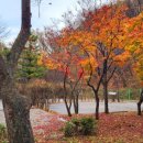 도덕산캠핑장 이미지