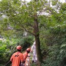 바라산자연휴양림 이미지