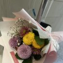 파티마요양병원 | 치질수술 3박4일 입원후기｜하반신마취 후기·무통주사 부작용·좌욕 솔직기록