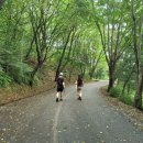 황토이용원