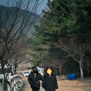 큰언덕목장 | 남해 양떼목장 양마르뜨언덕 방문 후기: 귀여운 양들과 함께한 힐링 일상