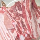 삼겹 | 🔥 마산합포구 맛집 마포삼겹 후기… 가격 실화냐 4,500원 삼겹살 (내돈내산)