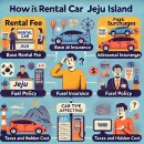 🚗 제주도 렌트카 반값에 빌리는 법! 꿀팁 공개