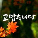 전야제 이미지