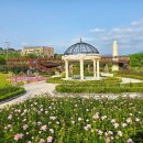 대청호 자연수변공원 이미지