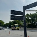 소노펫 비발디파크 스위트 룸 찐 후기와 펫 프로그램 안내