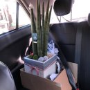 상록꽃화원 이미지