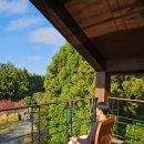 크리스마스애월 민박 | 제주 애월 편집샵이 된 효리네민박 촬영지 소길별하 예약 방문 후기